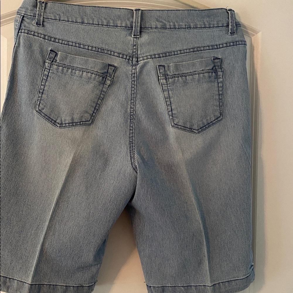 Gloria Vanderbilt Blue Striped Denim